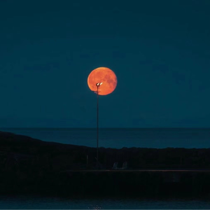 亚洲白袜淫荡男自慰射精
